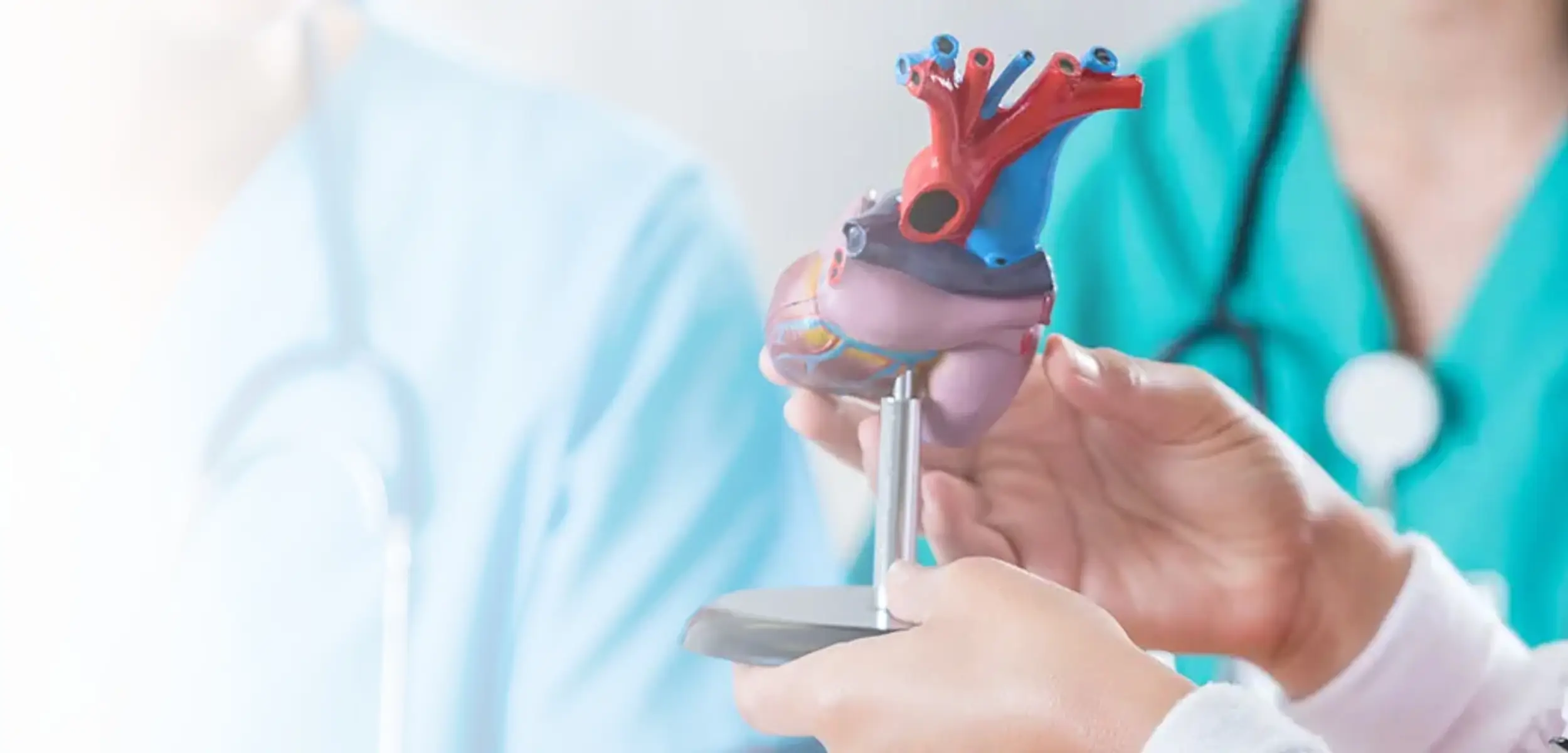 Maximize Your CardioIogy Revenue.jpg